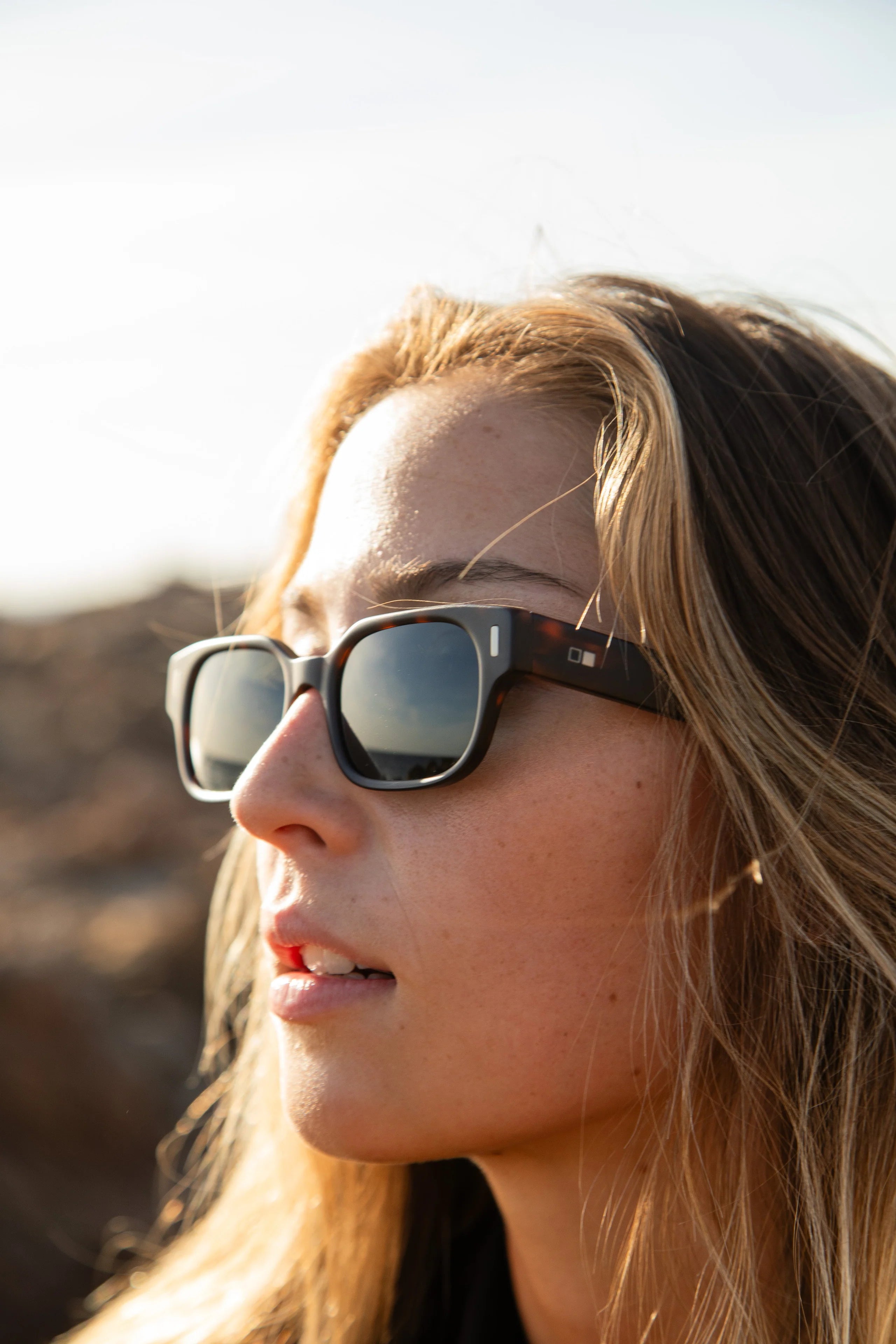 Untitled - Eco Matte Hinton Tort / Brown Polar
