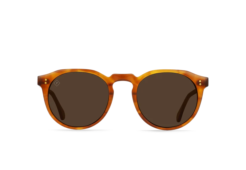 Remmy - Santa Fe Tortoise / Vibrant Brown Polarized