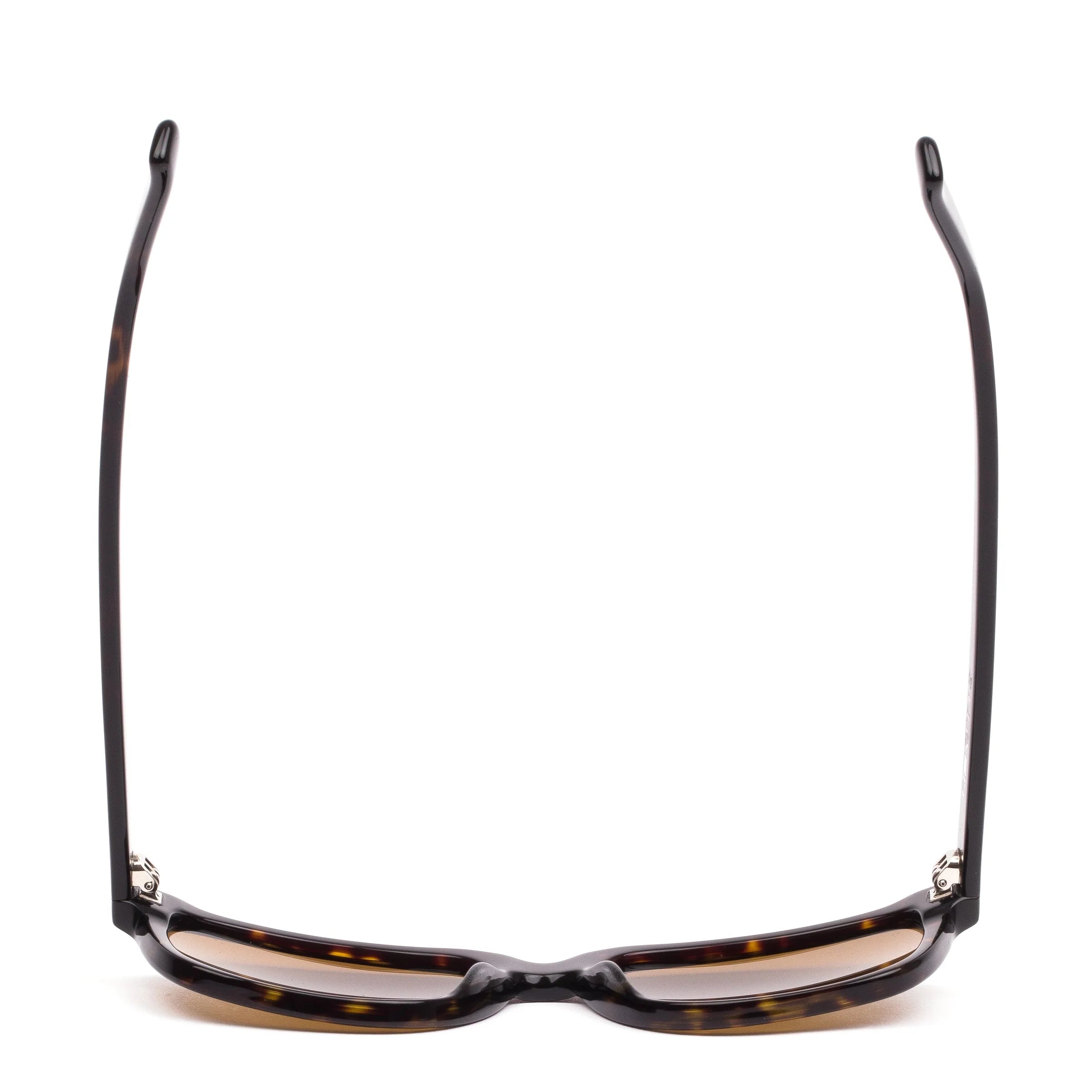 Test of Time X - Eco Dark Tort / Brown Polar
