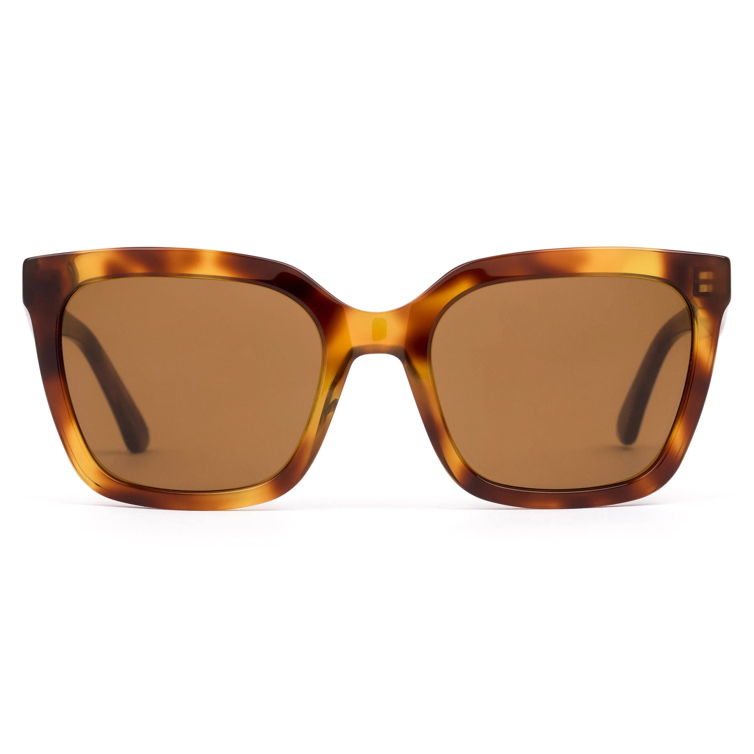 Pursuit - Eco Havana Zinnia / Brown Polar