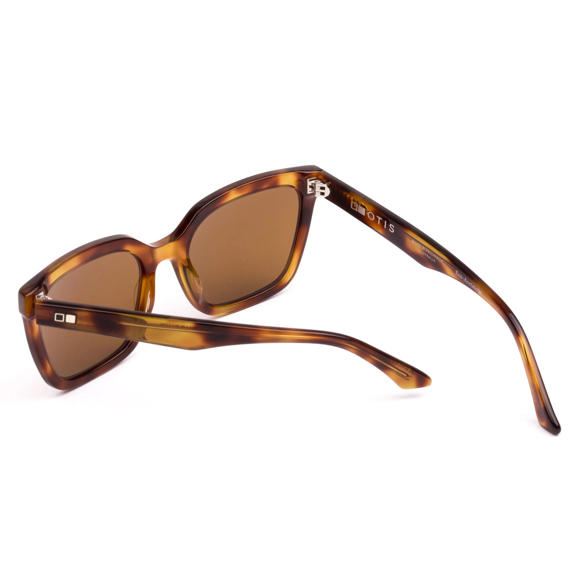 Pursuit - Eco Havana Zinnia / Brown Polar
