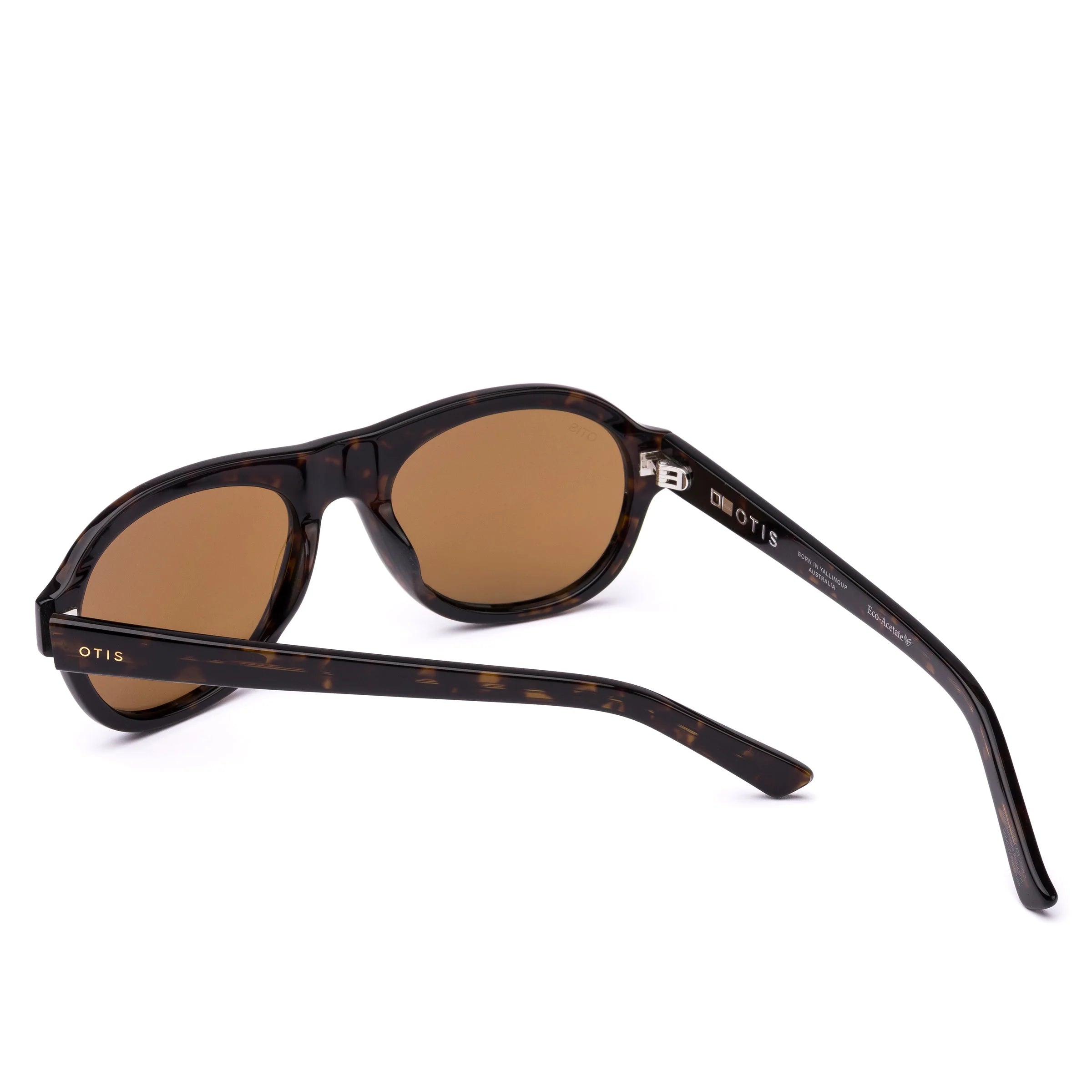 Kingswood - Eco Umber Tort / Brown Polar