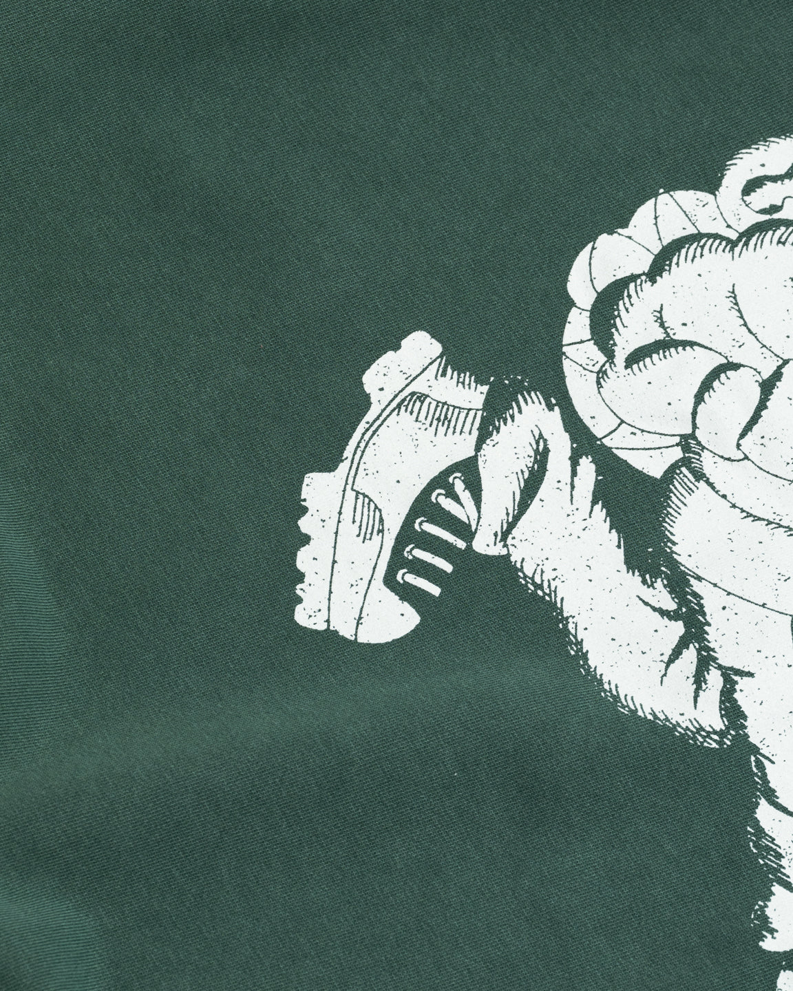 Wayne Raglan Sleeve Sweatshirt