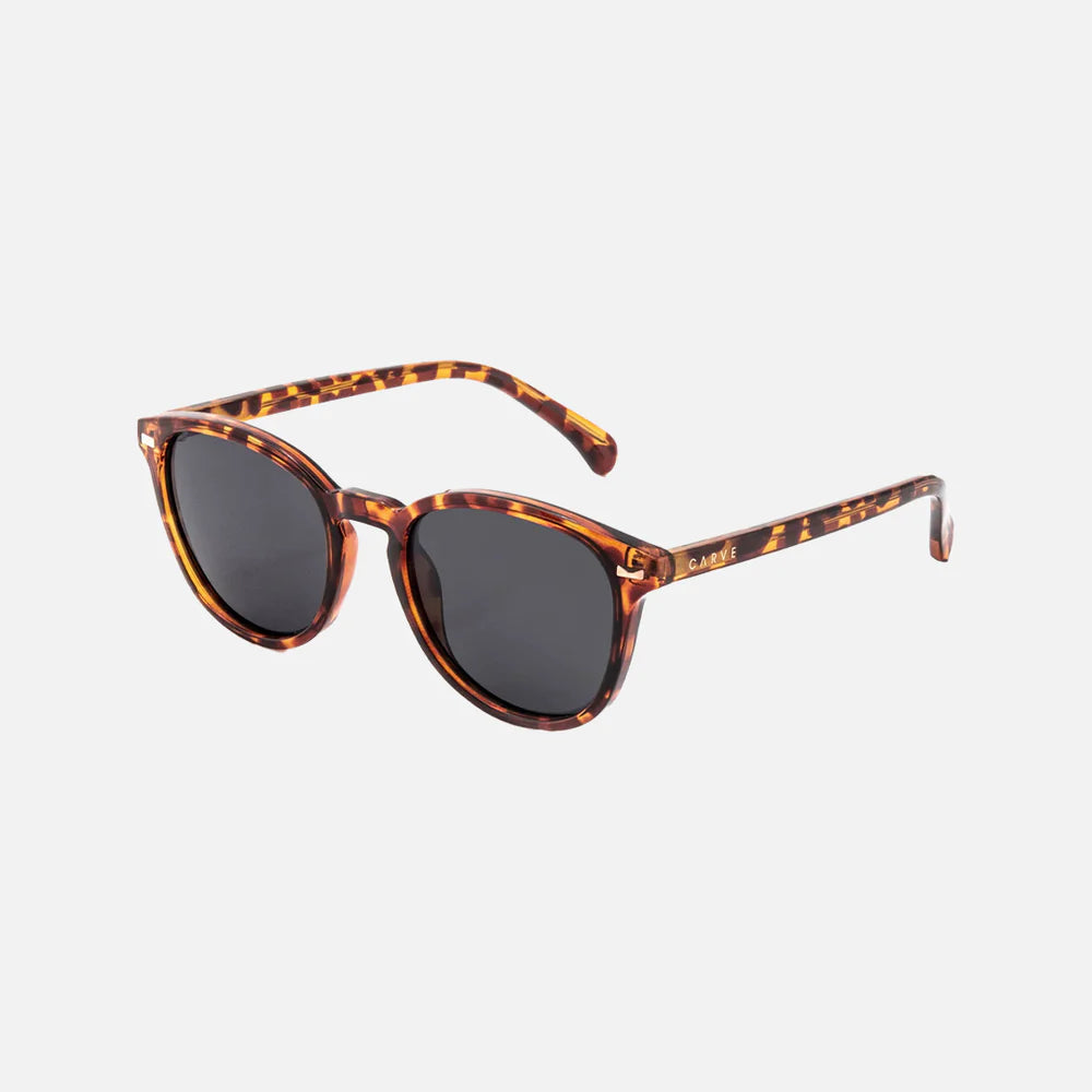 Oslo - Gloss Tort Grey Polarized Lens