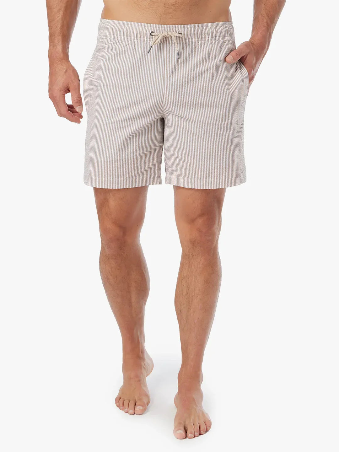 The Bayberry Trunk