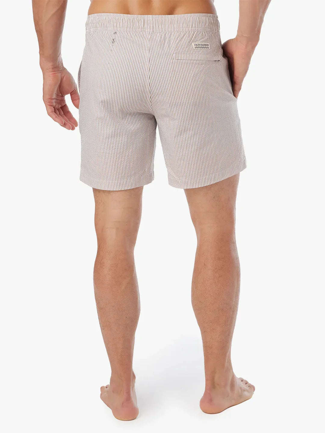 The Bayberry Trunk