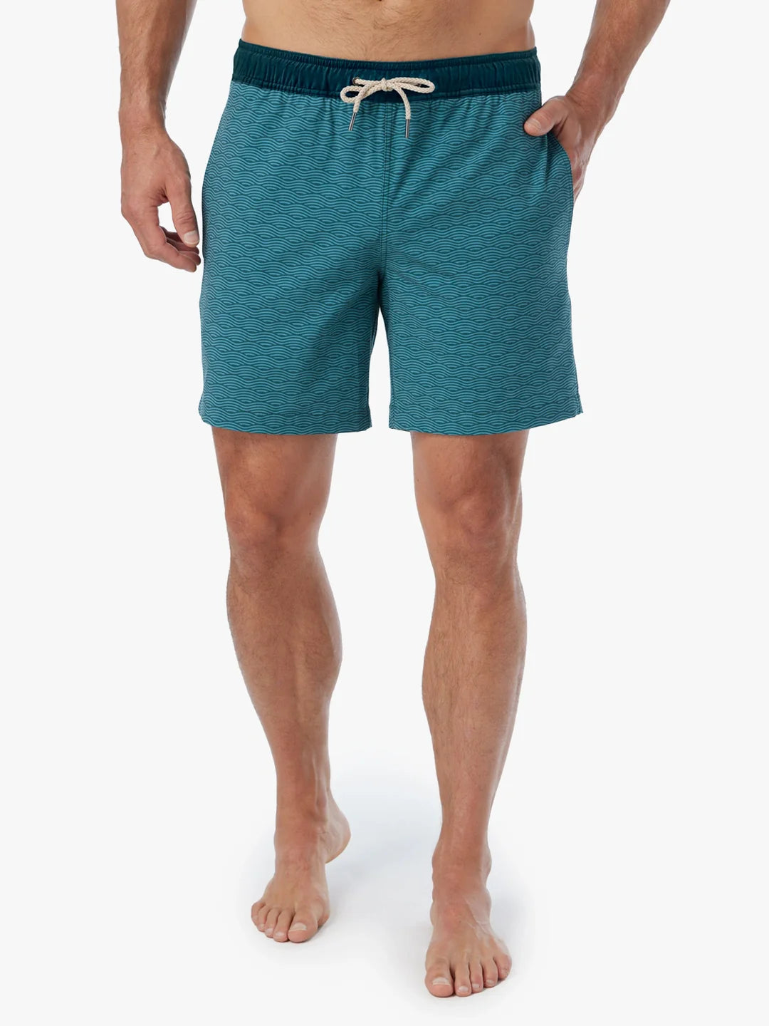 The Bayberry Trunk