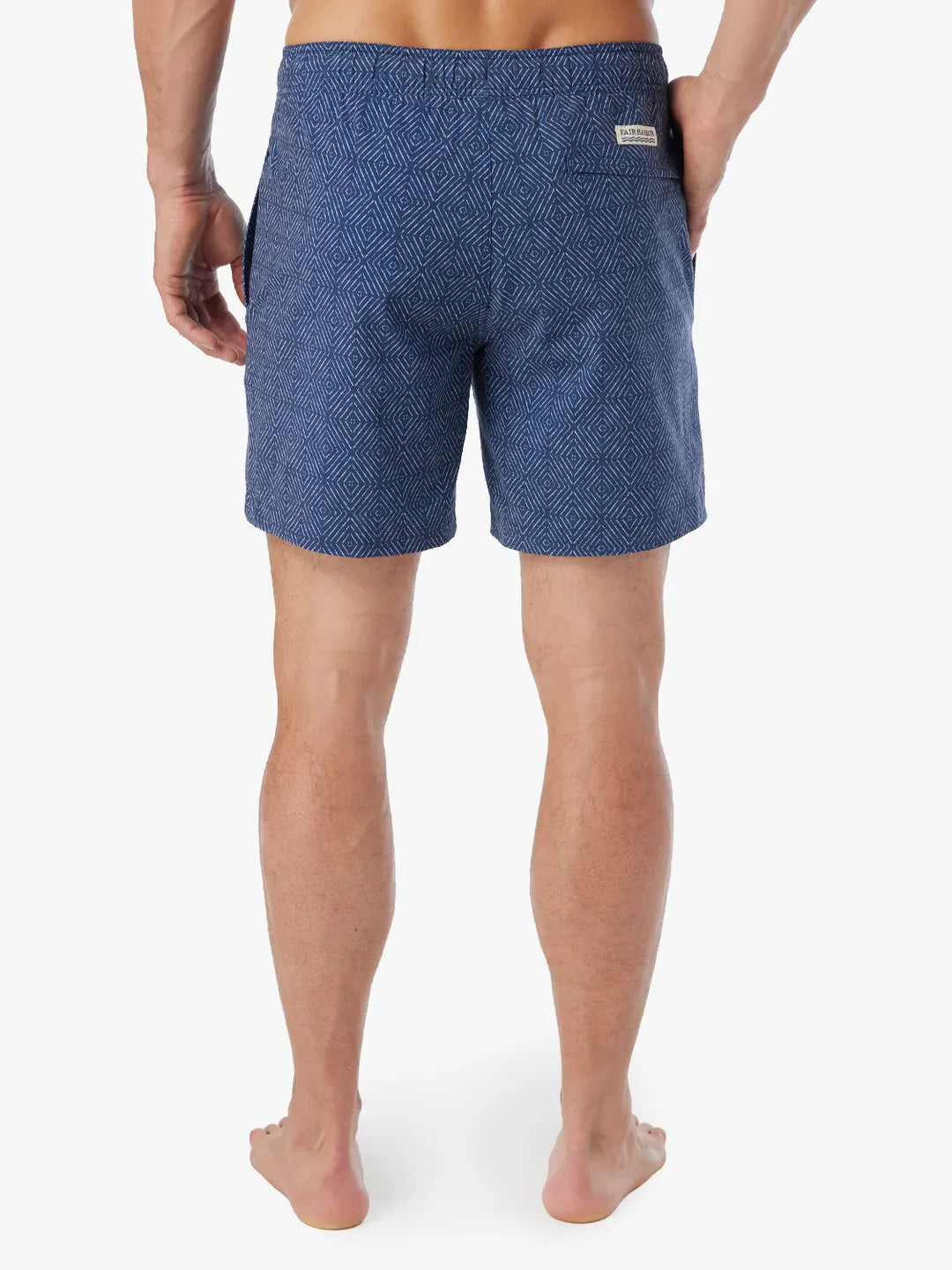 The Bayberry Trunk