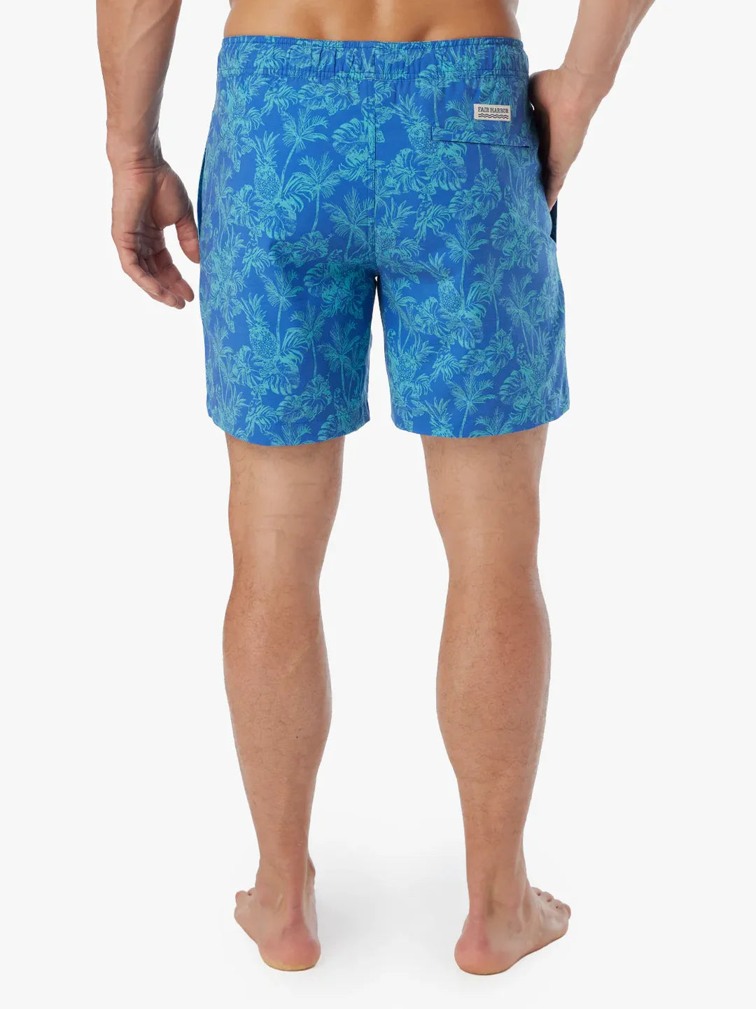 The Bayberry Trunk