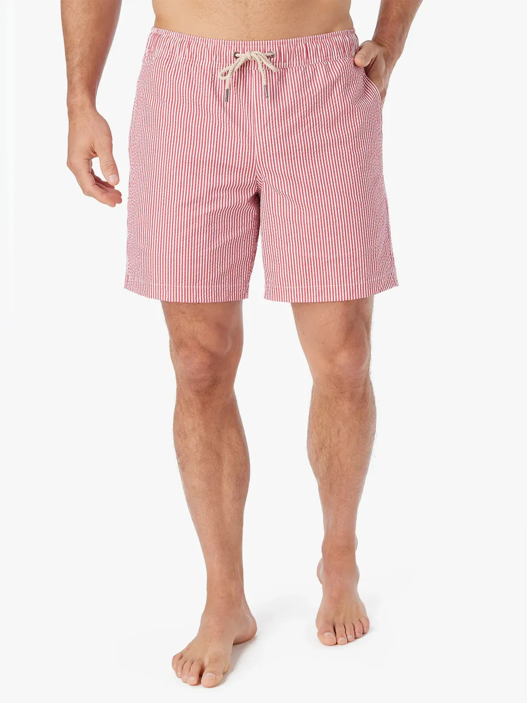 The Bayberry Trunk