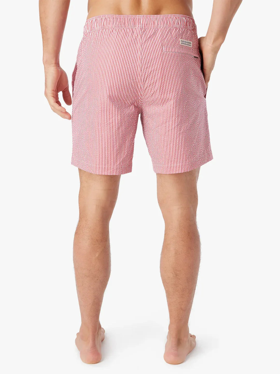 The Bayberry Trunk