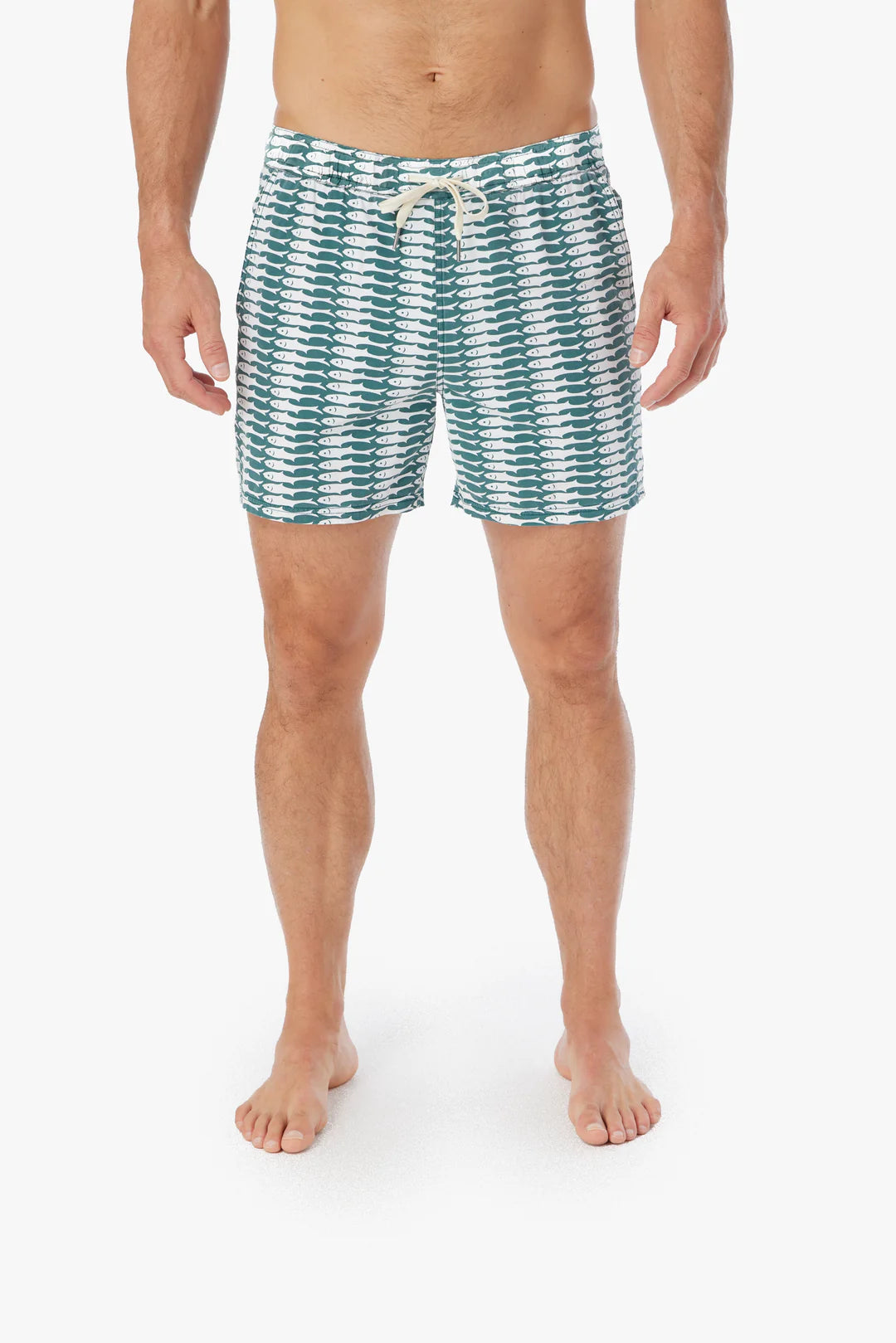 Bungalow Trunk