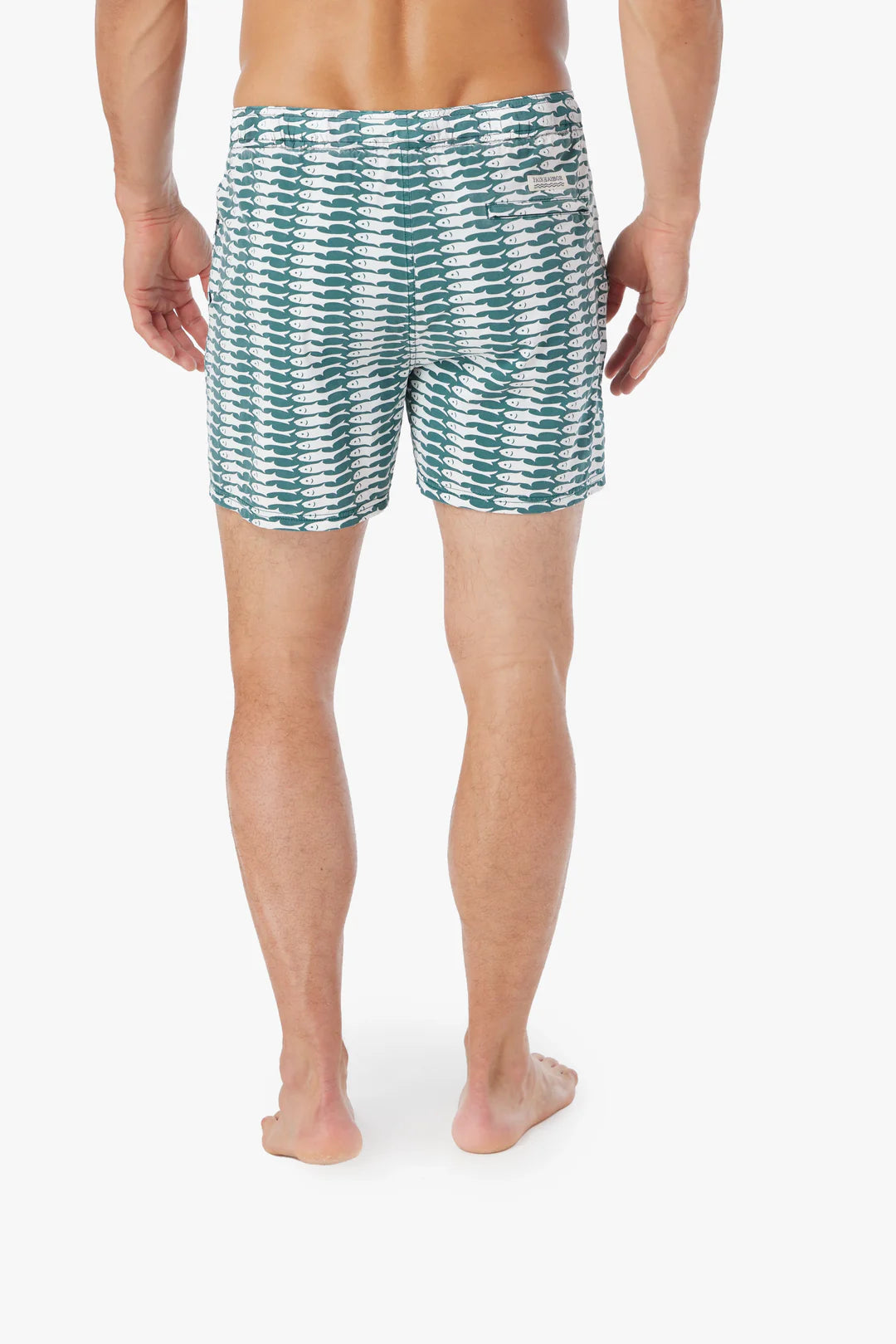 Bungalow Trunk