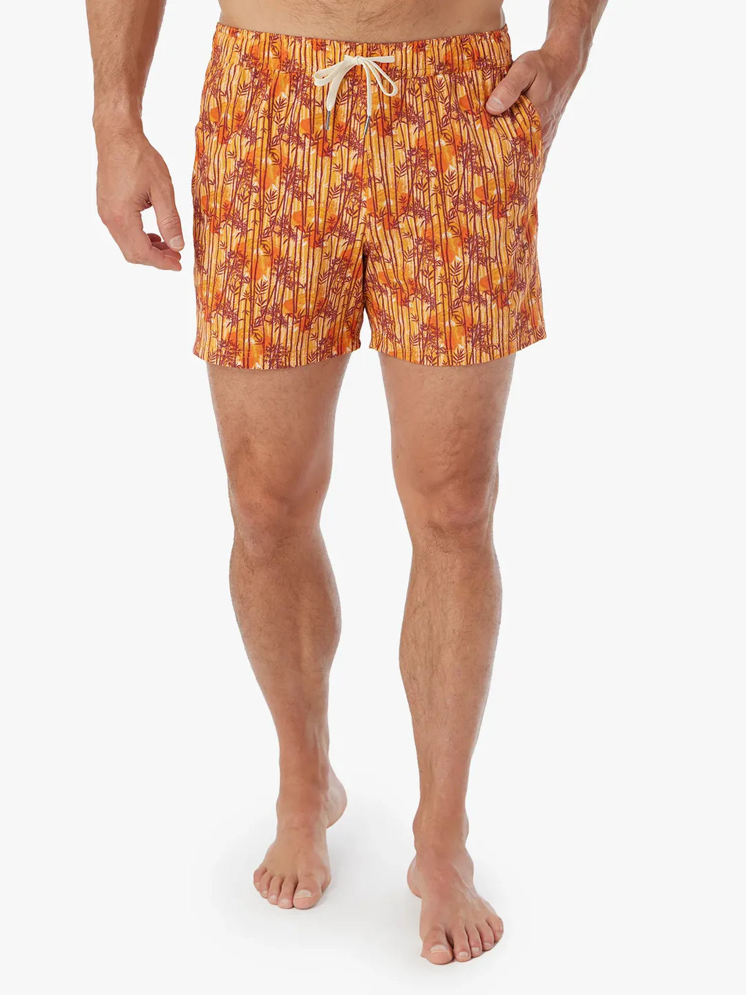 Bungalow Trunk