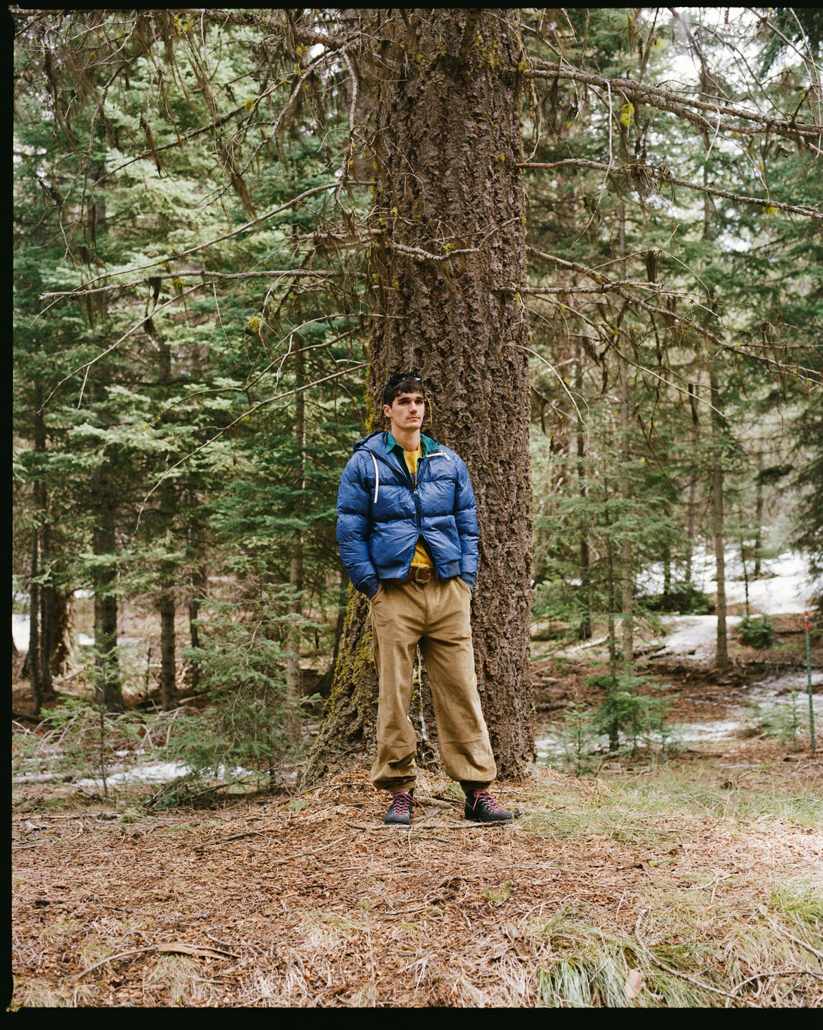 Alpine Jacket - Blue Corn