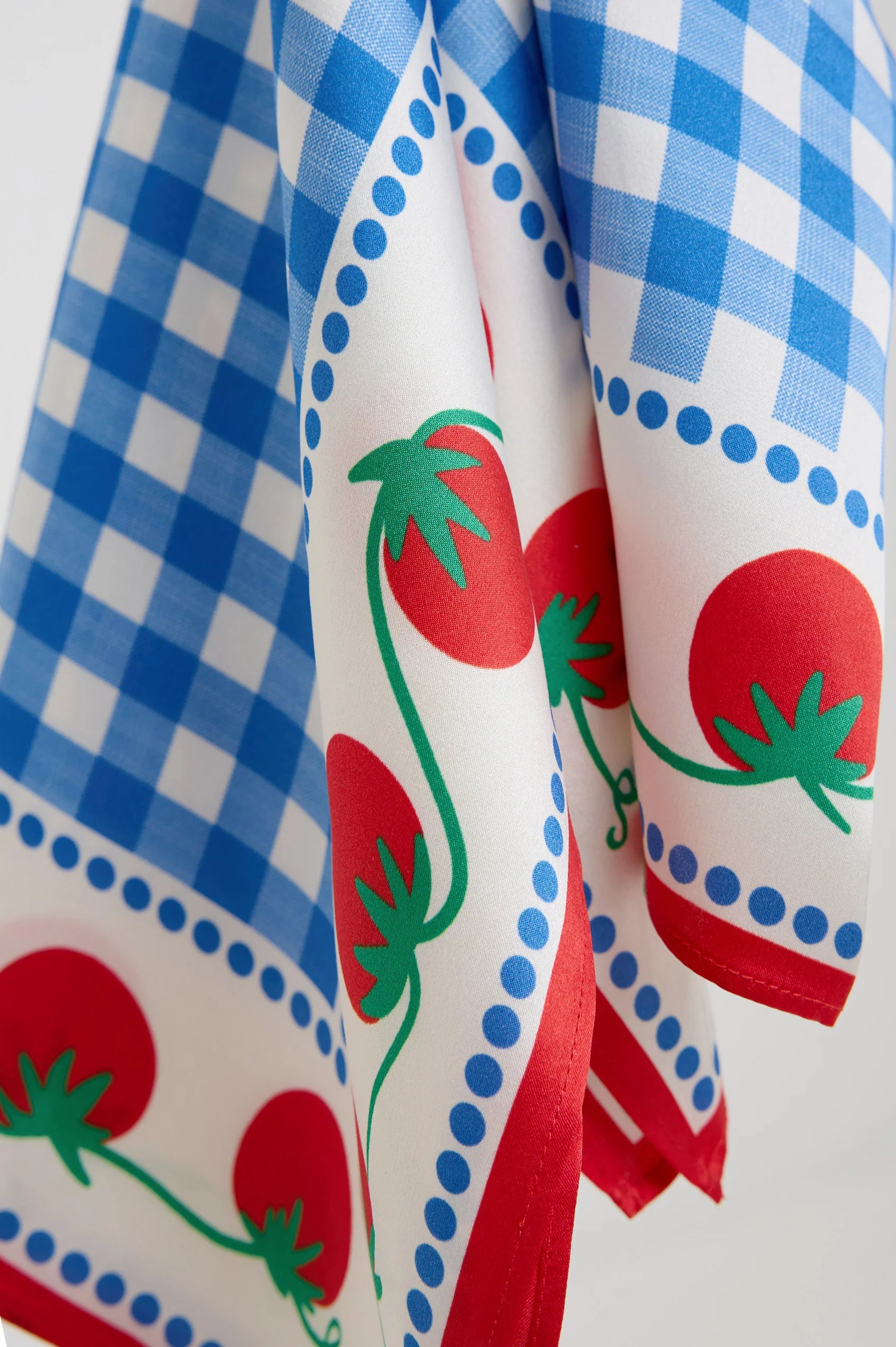 Rails x Giadzy Cosima Scarf - Gingham Tomatoes