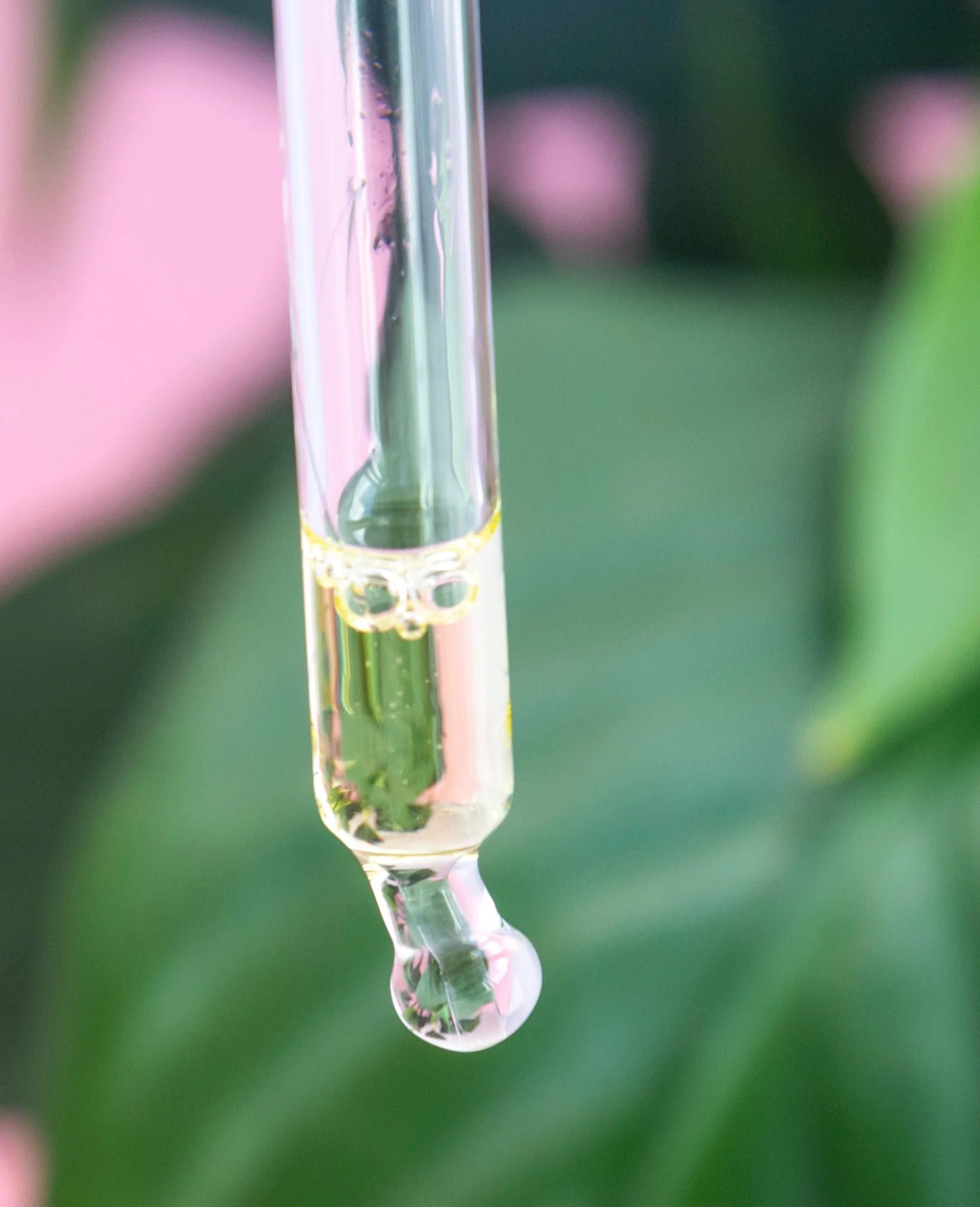 KelpGlow Facial Oil - Signature Citrus