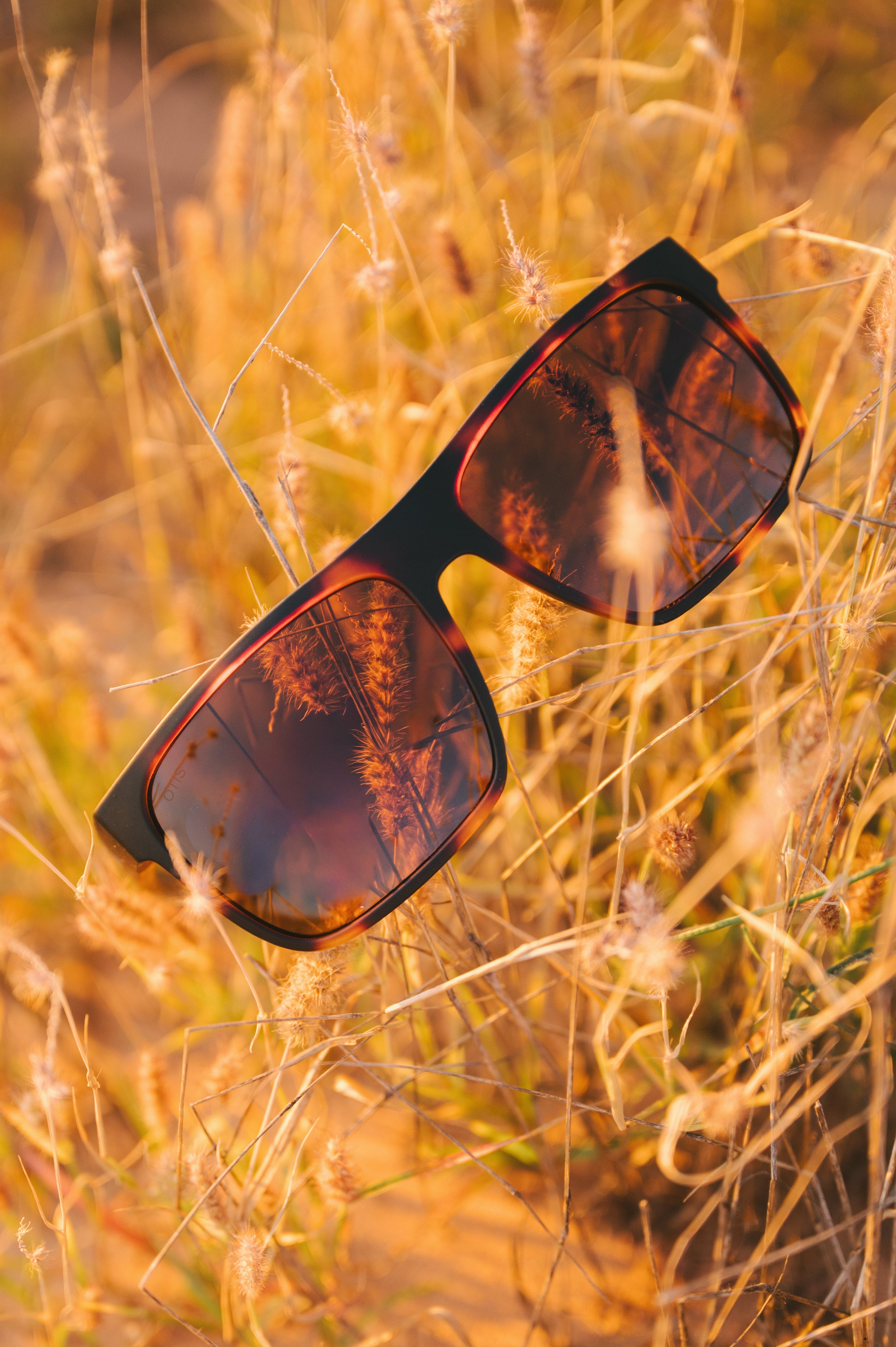 After Dark - Matte Clay Tort / Brown Polar