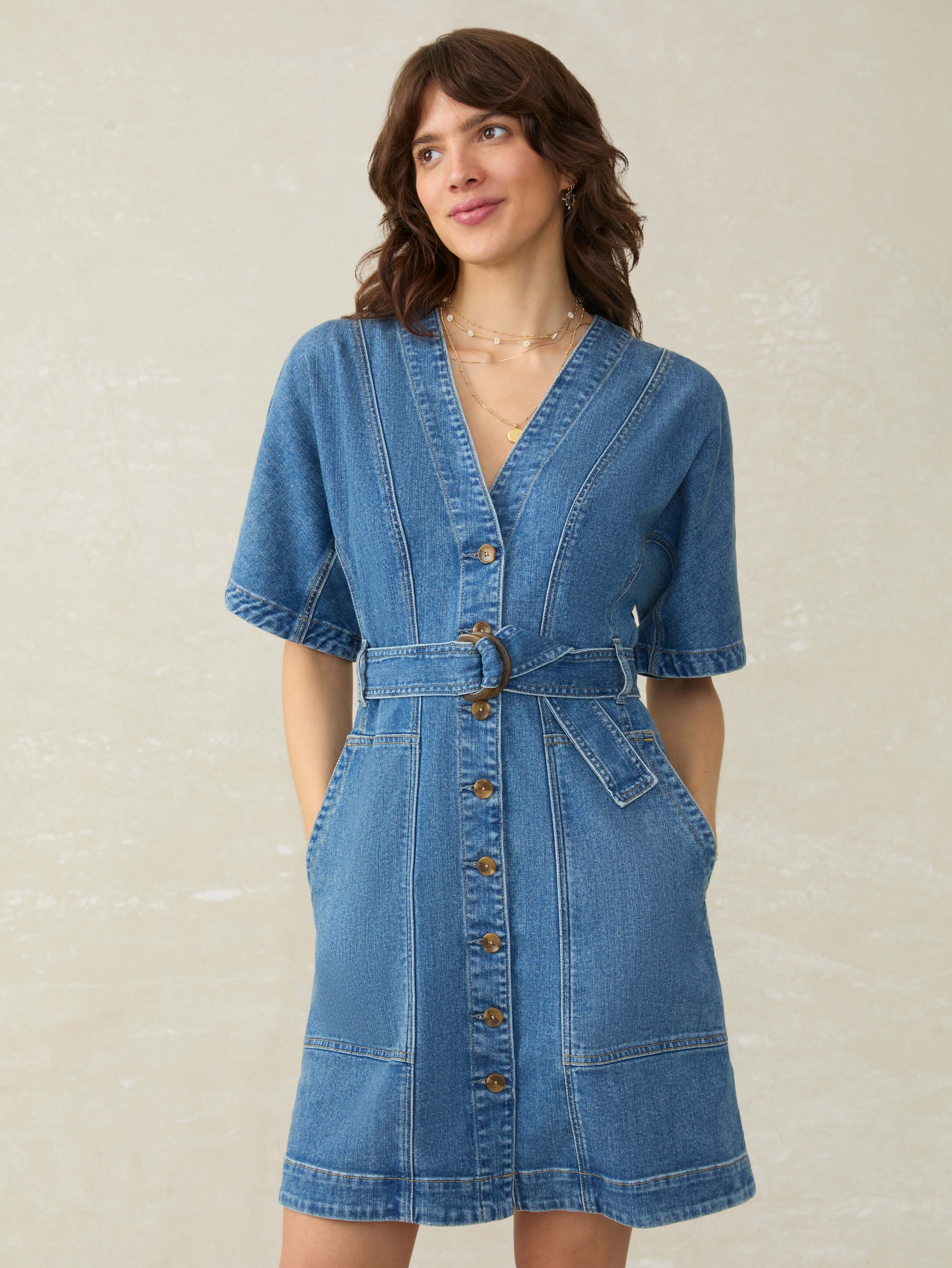 Denim Camille Mini Dress