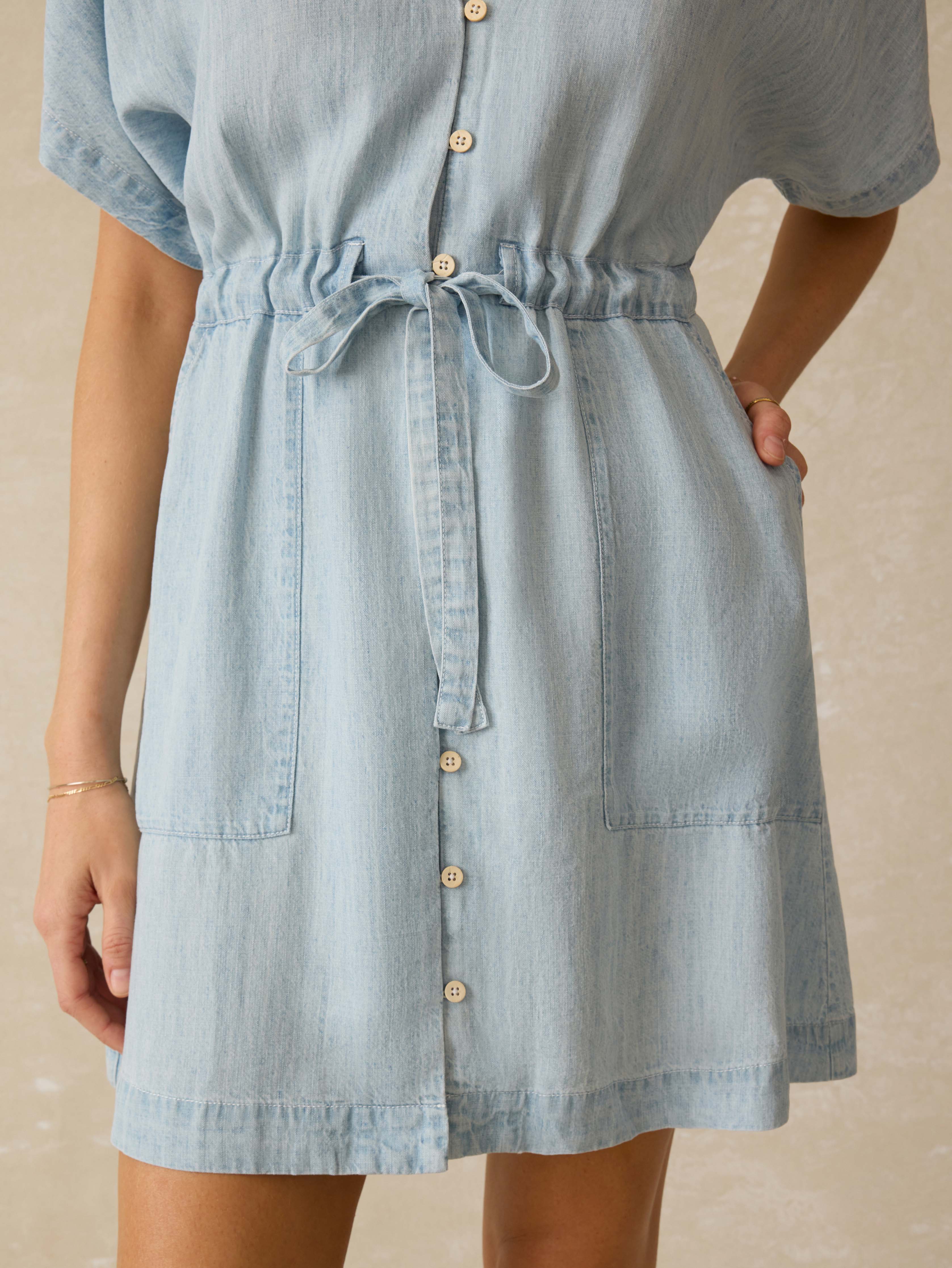 Tried & True Chambray Oakley Dress