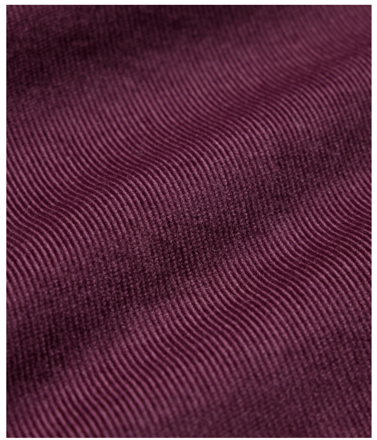 Wilder Stretch Corduroy Shirt Winter25