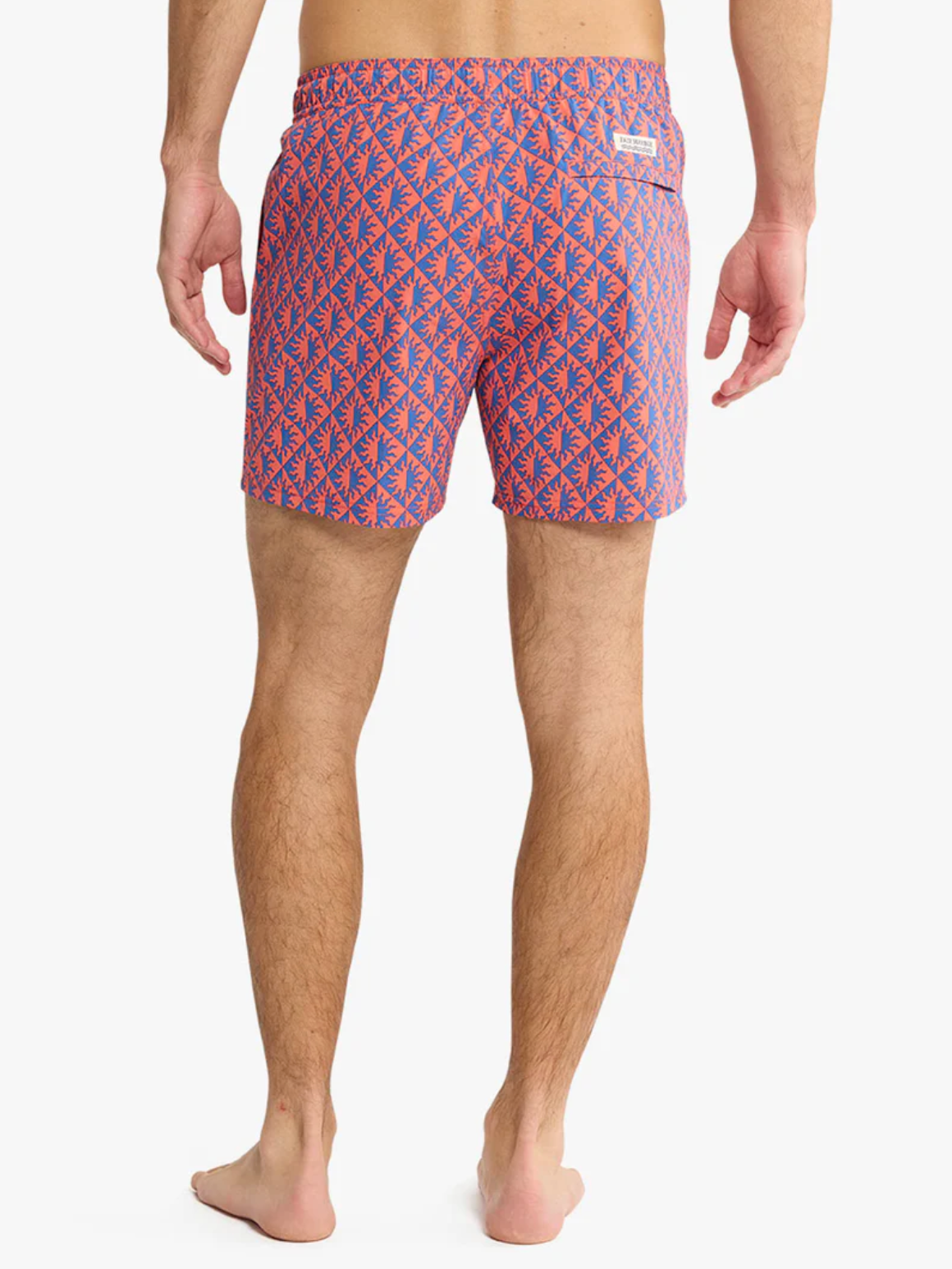 Bungalow Trunk - Cobalt Suns
