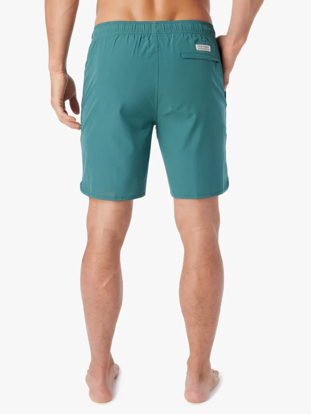 The Anchor Trunk - Seapine