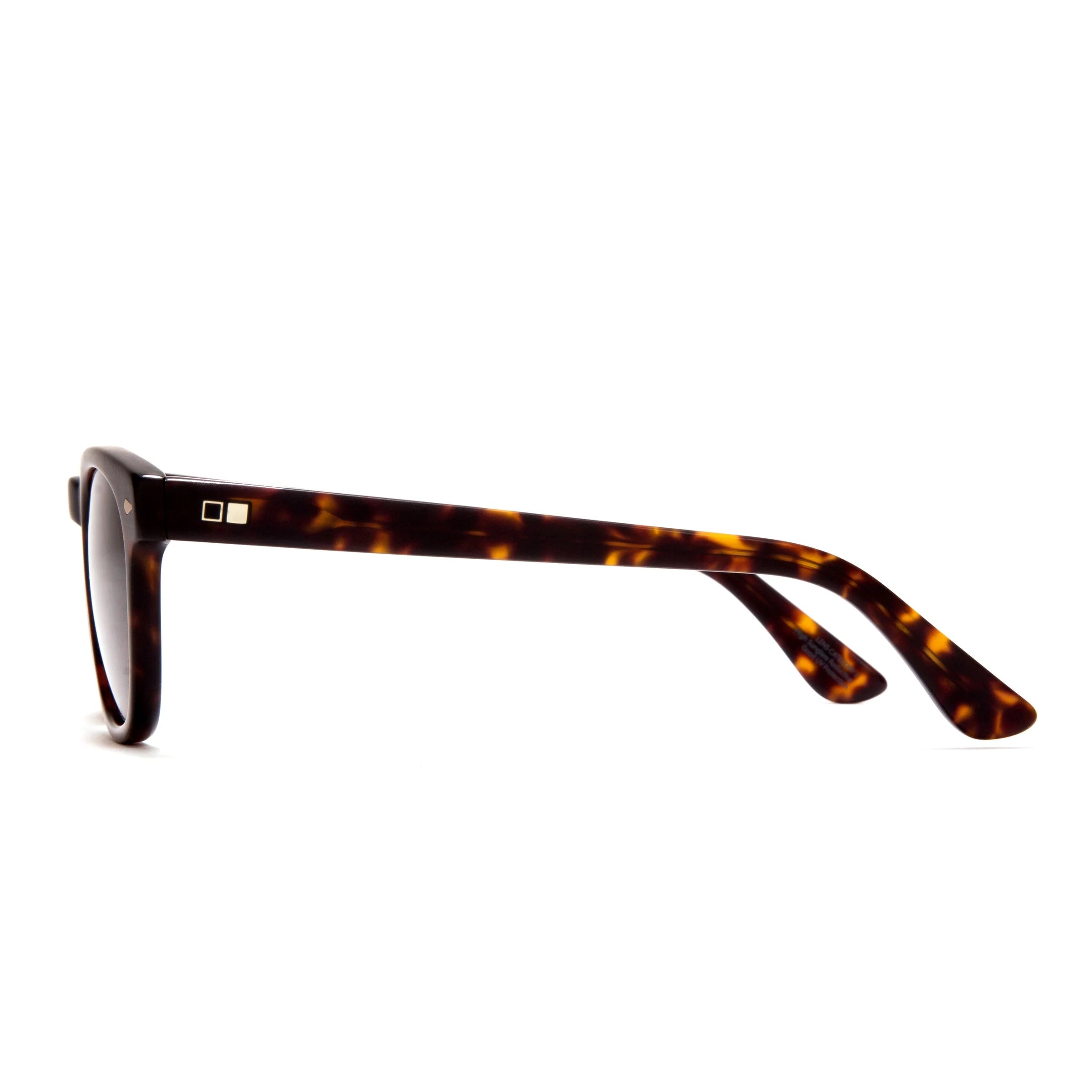 Summer of 67 - Eco Havana / Brown Polar