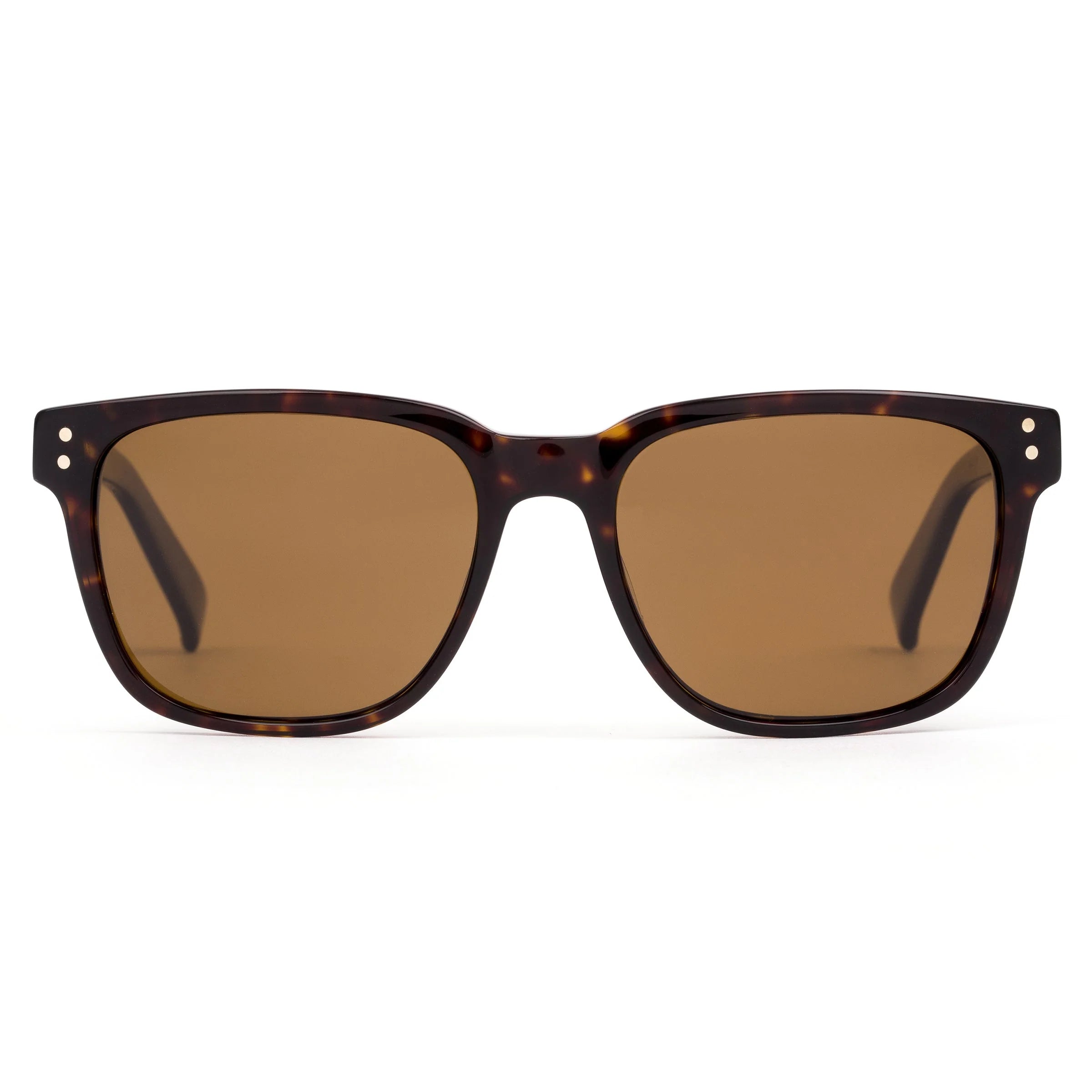 Test of Time X - Eco Dark Tort / Brown Polar