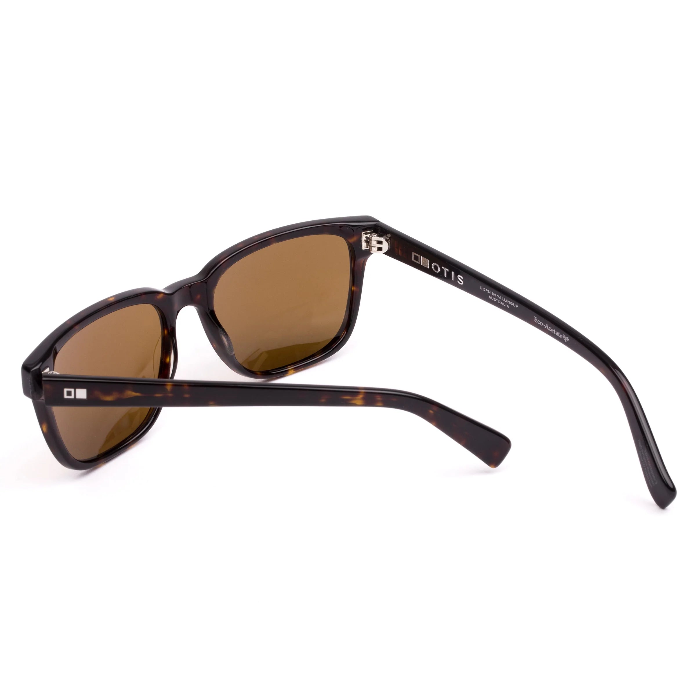 Test of Time X - Eco Dark Tort / Brown Polar