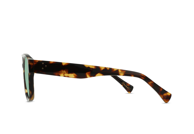 Rifka - Scout Tortoise / Moonmist