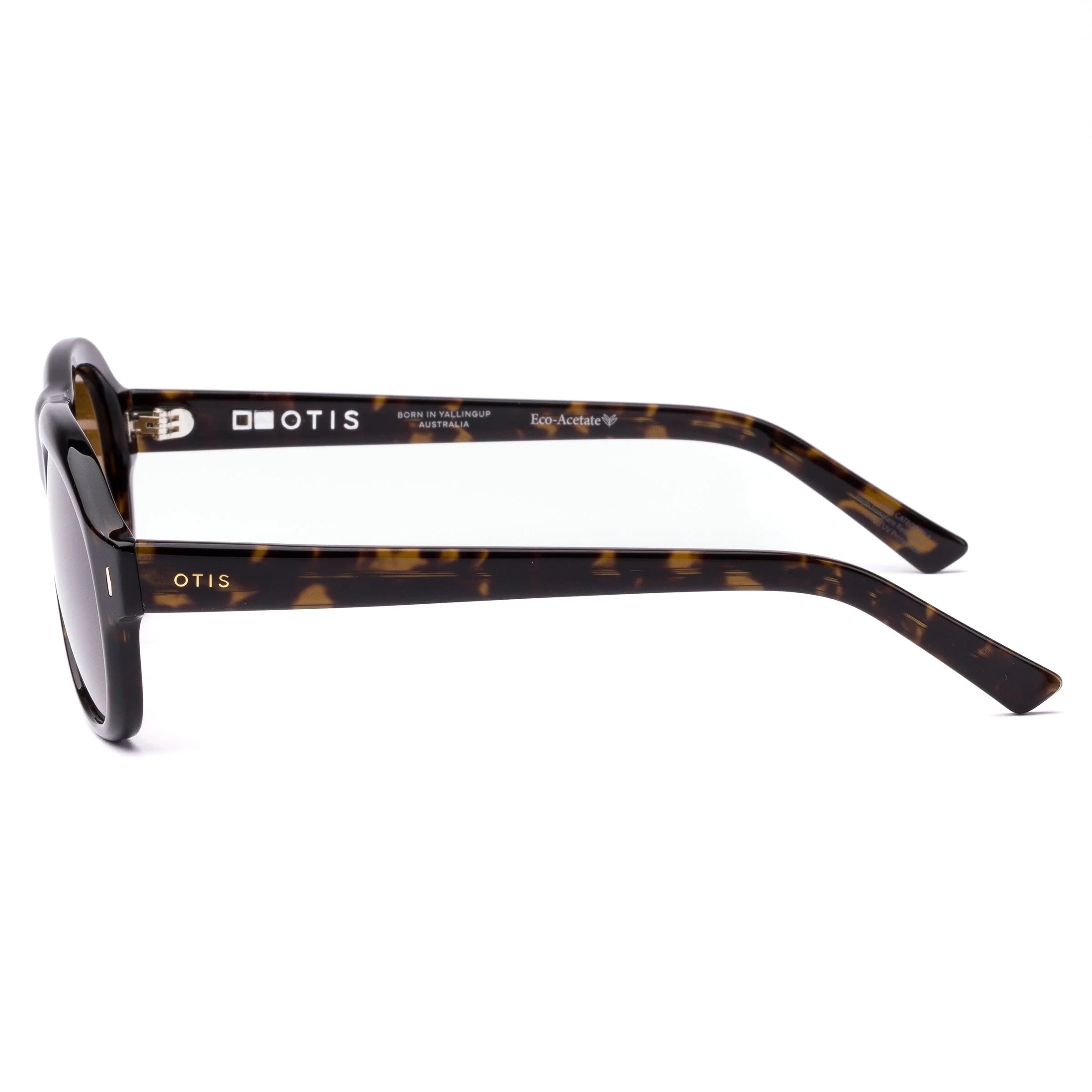 Kingswood - Eco Umber Tort / Brown Polar