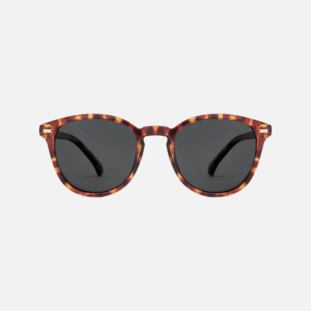 Oslo - Gloss Tort Grey Polarized Lens