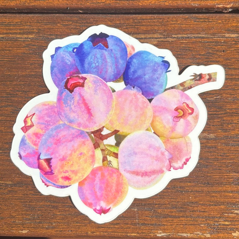 Blueberry Sticker