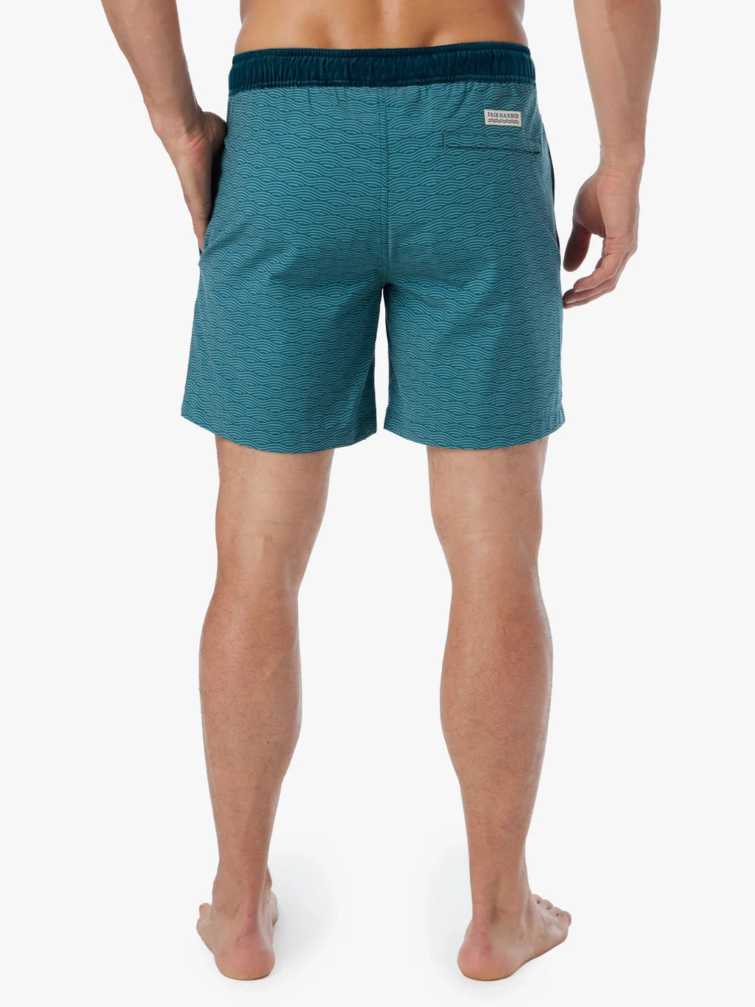 The Bayberry Trunk