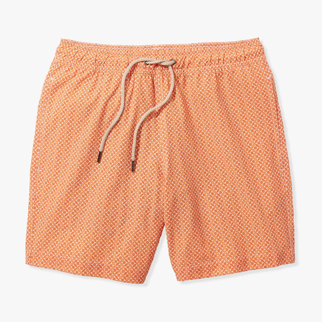 The Bayberry Trunk