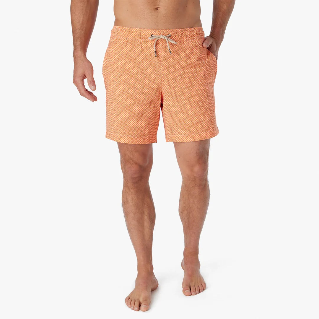 The Bayberry Trunk