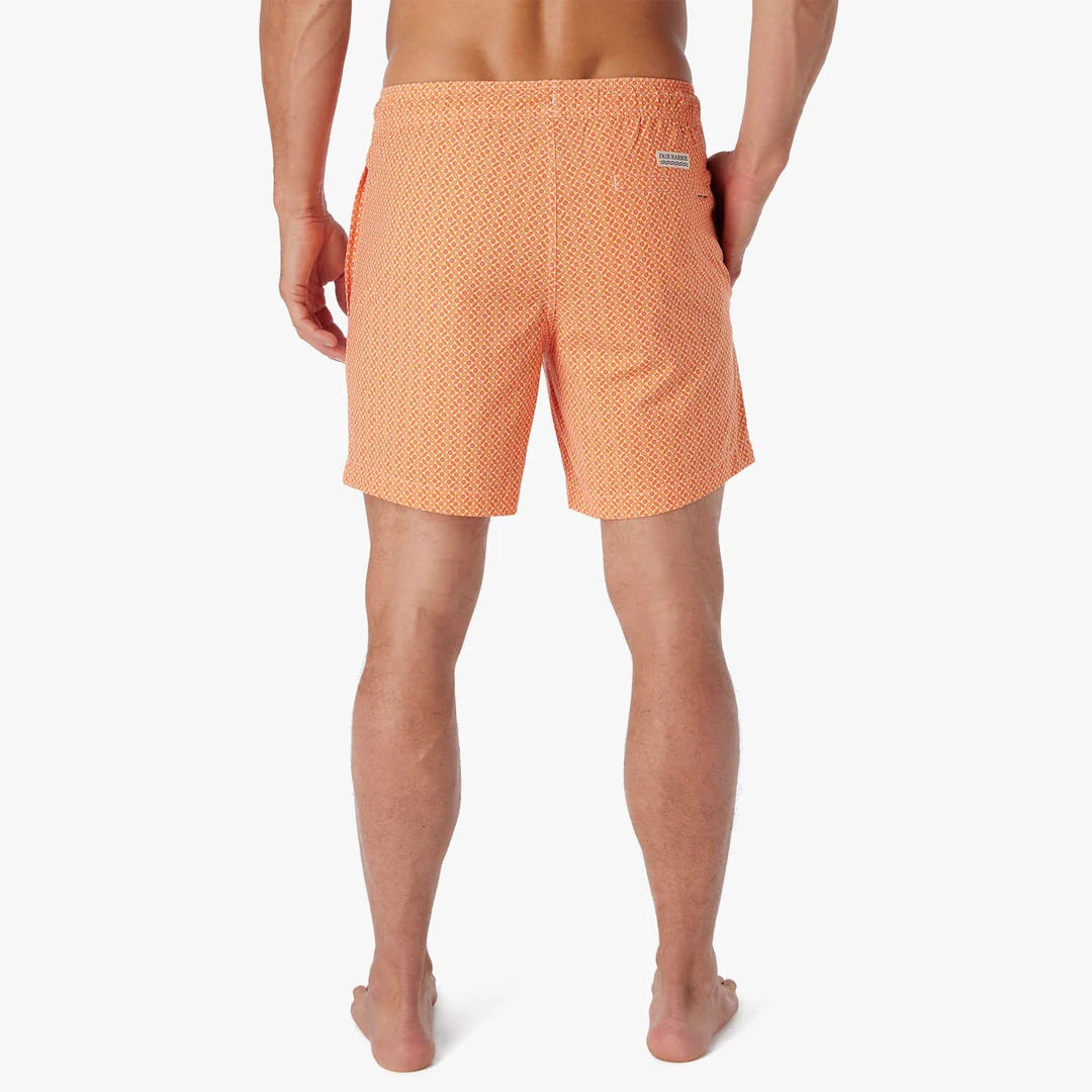 The Bayberry Trunk