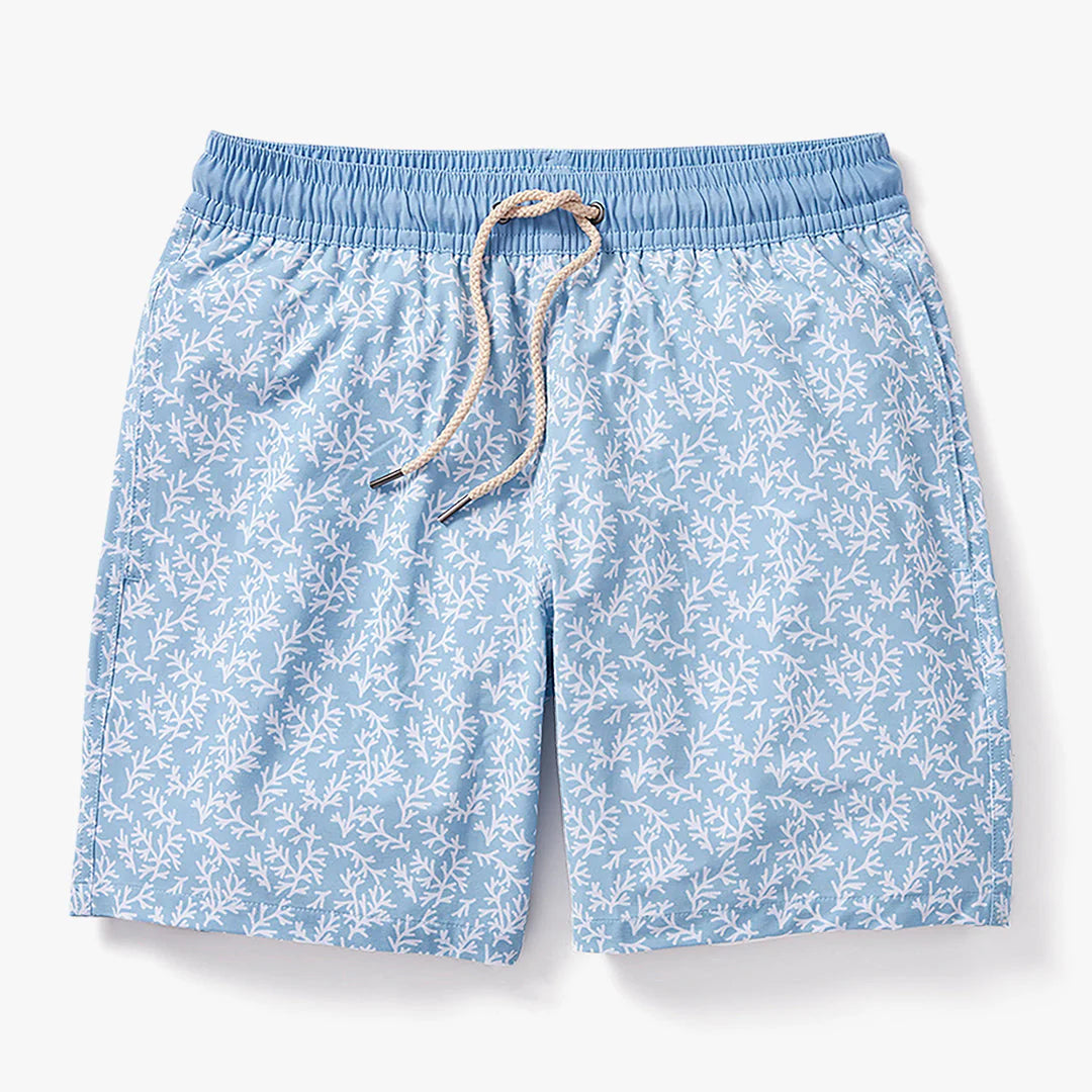 The Bayberry Trunk