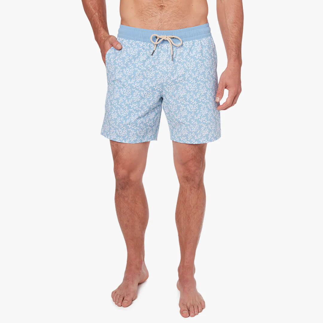 The Bayberry Trunk