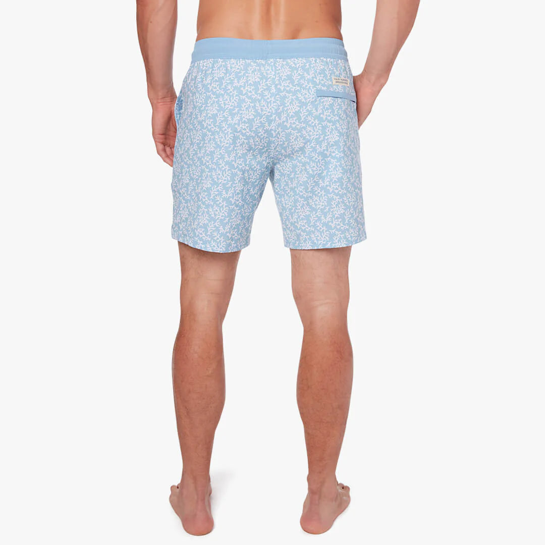 The Bayberry Trunk