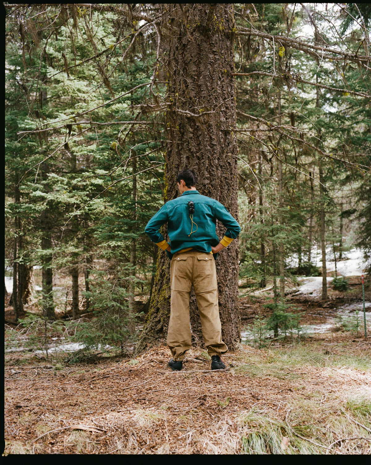 Teton Shirt - Kale