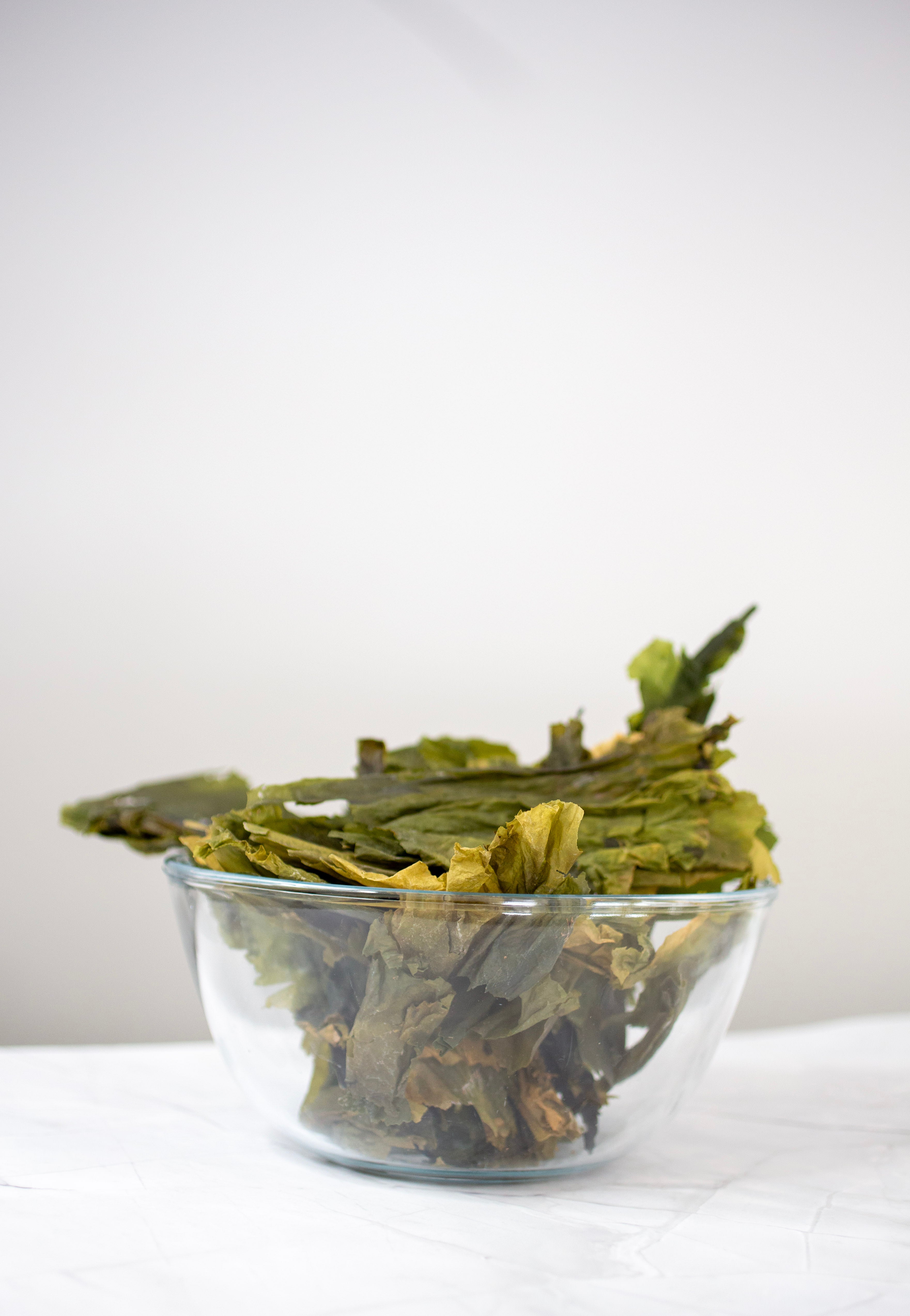 KelpGlow Facial Oil - Fragrance Free