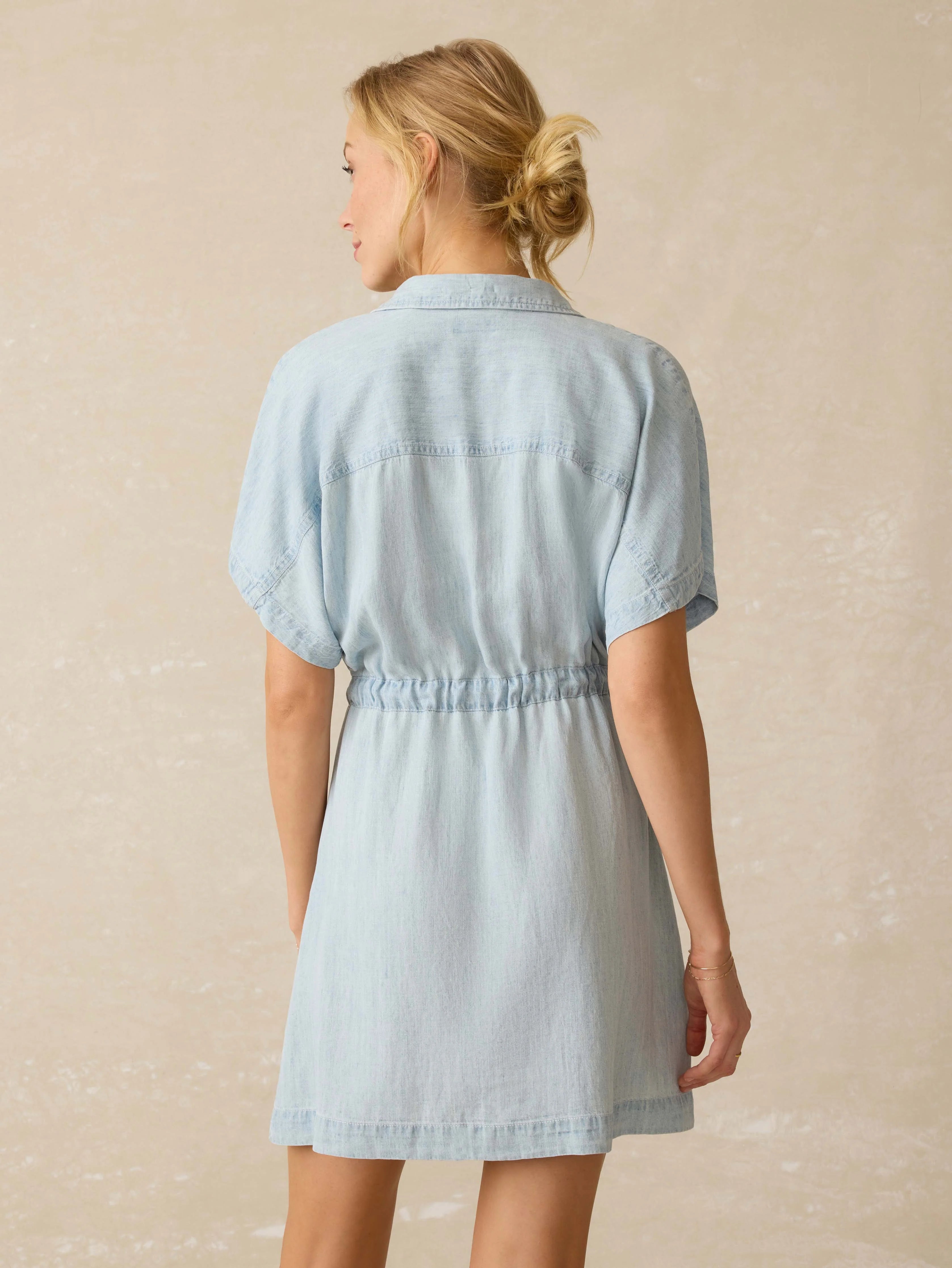 Tried & True Chambray Oakley Dress