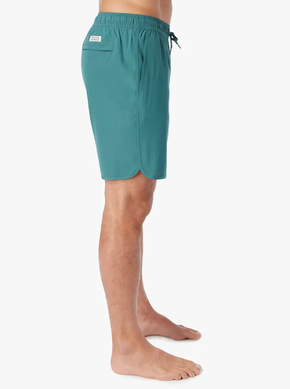 The Anchor Trunk - Seapine