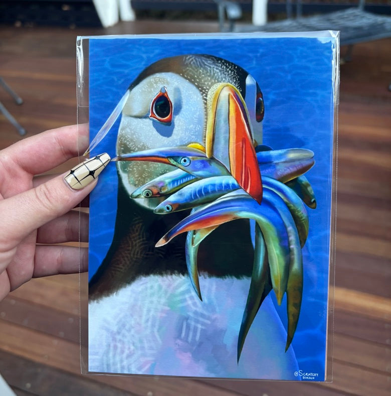 Puffin Art Print - 5x7