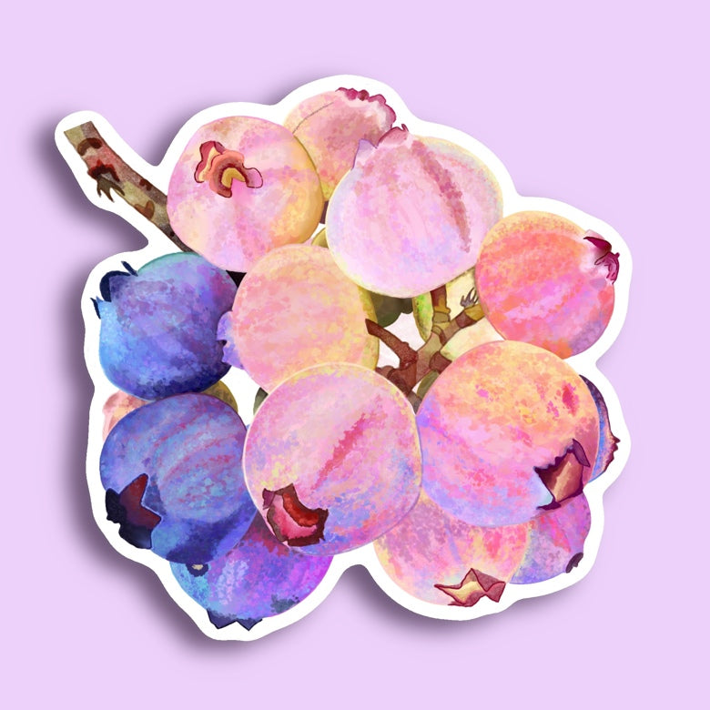 Blueberry Sticker