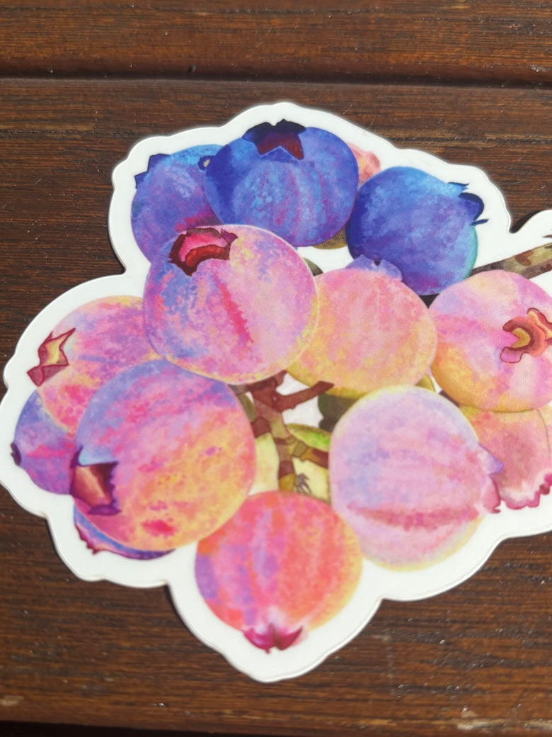 Blueberry Sticker