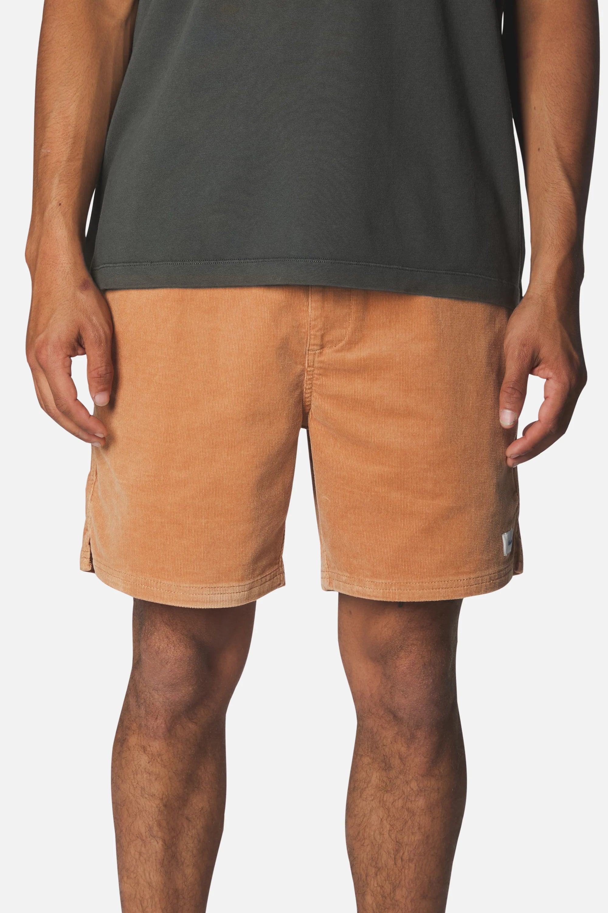 Cord Local Short - Brush